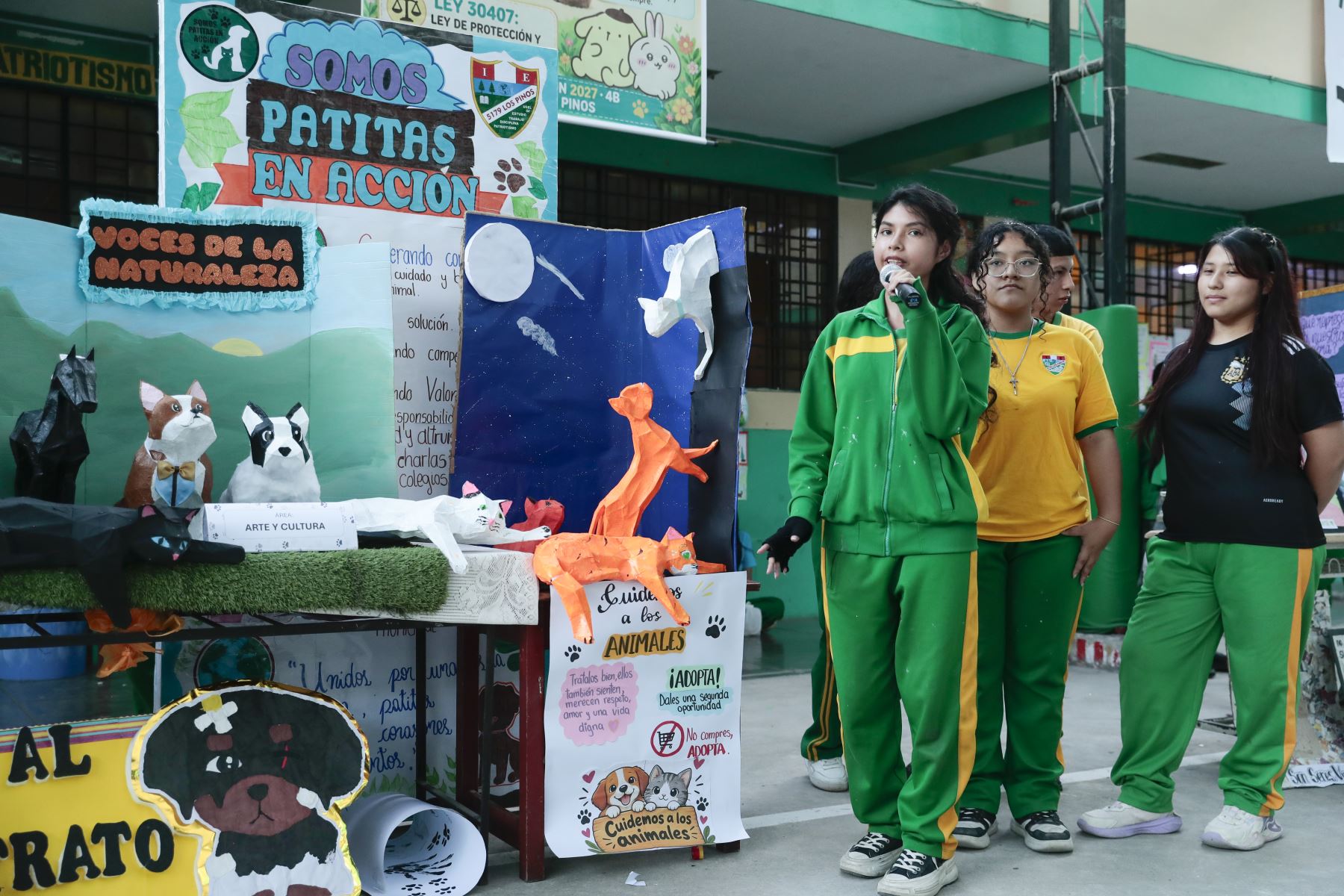 Desde la I.E. Nro. 5179 Los Pinos de Puente Piedra, el viernes 9 de octubre se realizó la feria educativa "Patitas en Acción: Cuidamos el Ambiente y Protegemos a los Animales", organizado por el grupo estudiantil "Patitas en Acción". El objetivo del evento es promover la tenencia responsable de mascotas en niños y adolescentes. Foto: ANDINA/Daniel Bracamonte