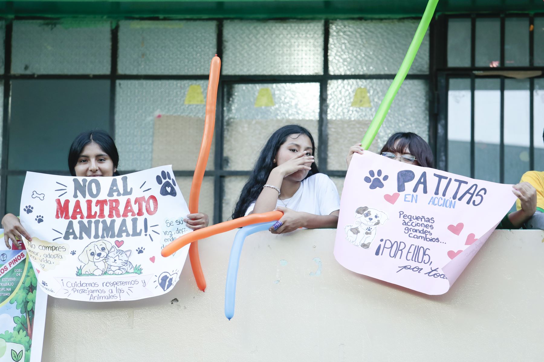 Desde la I.E. Nro. 5179 Los Pinos de Puente Piedra, el viernes 9 de octubre se realizó la feria educativa "Patitas en Acción: Cuidamos el Ambiente y Protegemos a los Animales", organizado por el grupo estudiantil "Patitas en Acción". El objetivo del evento es promover la tenencia responsable de mascotas en niños y adolescentes. Foto: ANDINA/Daniel Bracamonte