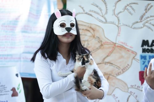 Feria educativa en colegio de Puente Piedra busca promover la tenencia responsable de mascotas