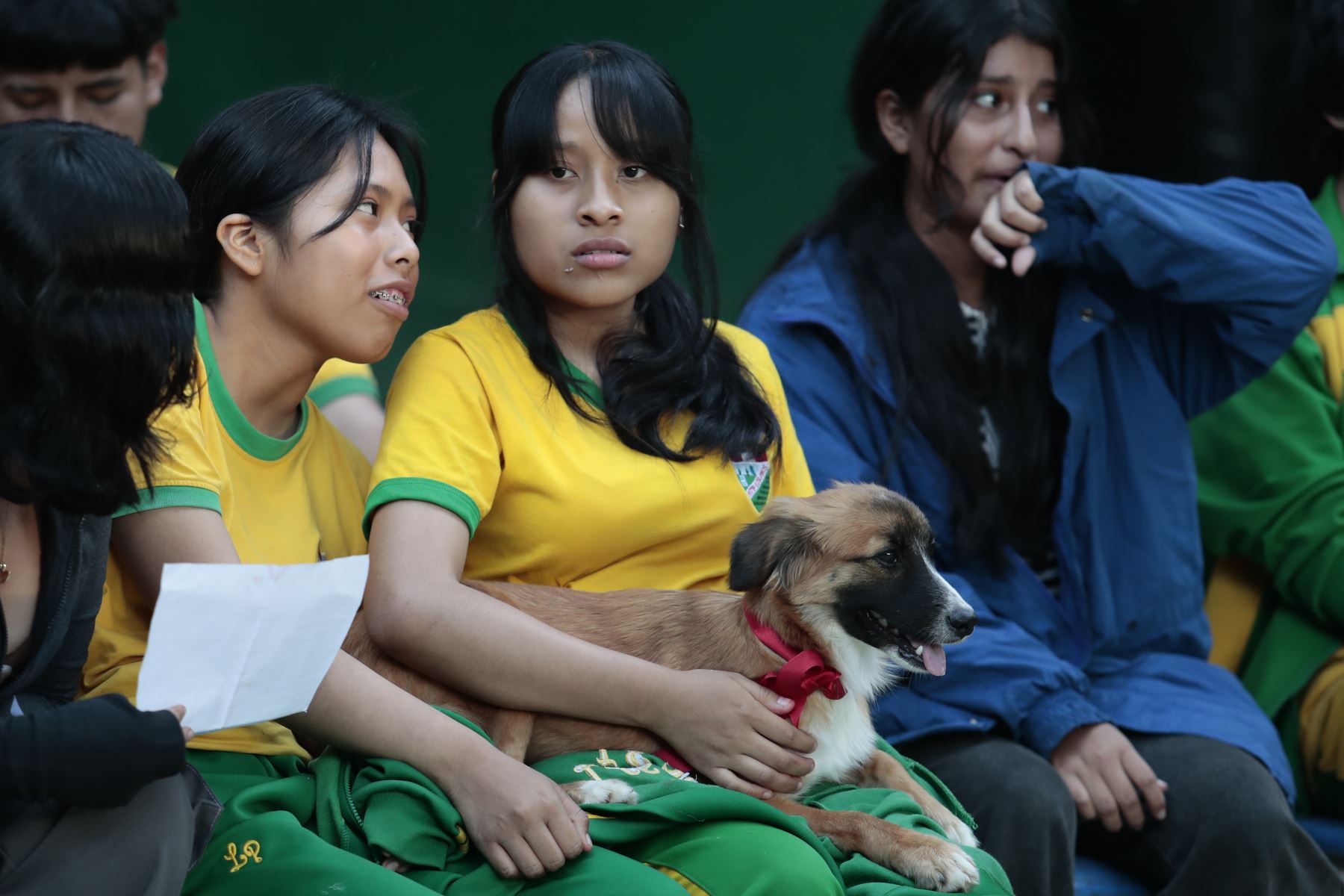 Desde la I.E. Nro. 5179 Los Pinos de Puente Piedra, el viernes 9 de octubre se realizó la feria educativa "Patitas en Acción: Cuidamos el Ambiente y Protegemos a los Animales", organizado por el grupo estudiantil "Patitas en Acción". El objetivo del evento es promover la tenencia responsable de mascotas en niños y adolescentes. Foto: ANDINA/Daniel Bracamonte