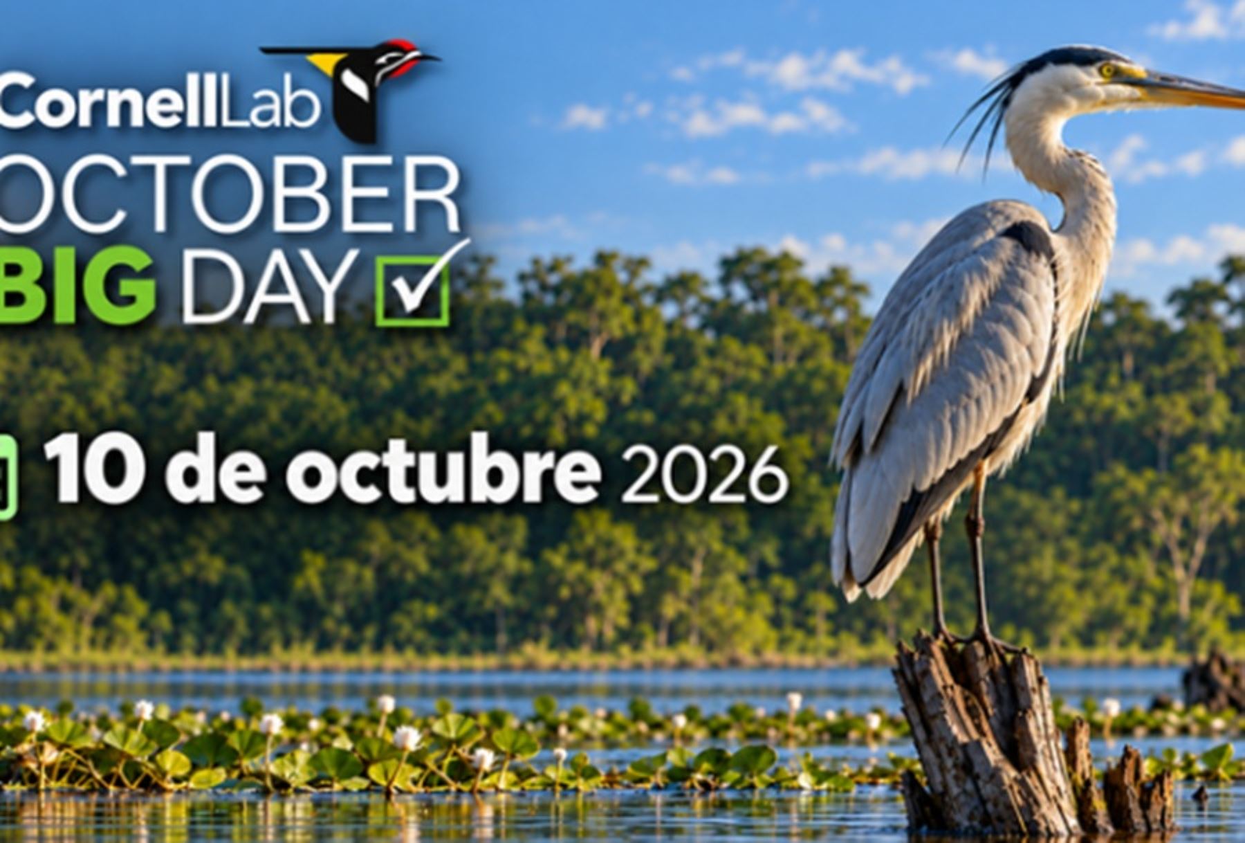 Cada ave cuenta: áreas naturales protegidas del Perú se suman hoy al October Big Day