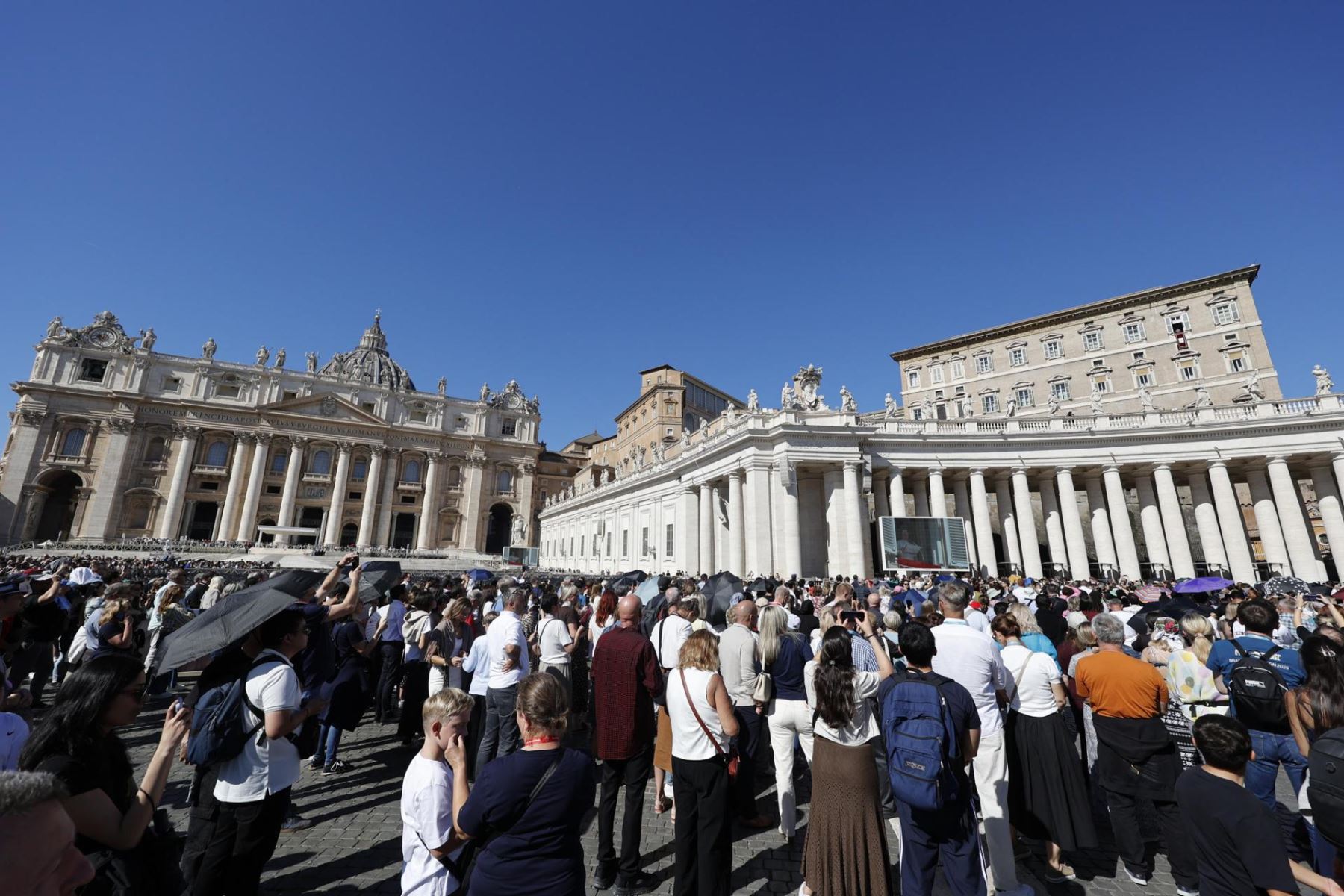 Fieles asisten a la oración del Ángelus dirigida por el Papa León XIV desde la ventana de su despacho con vistas a la Plaza de San Pedro en la Ciudad del Vaticano, el 11 de octubre de 2026. Foto: EFE