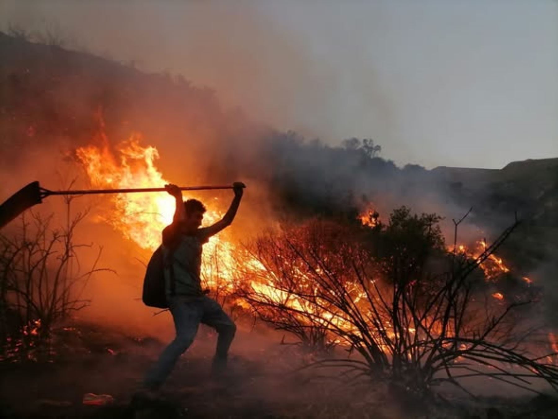 Incendios forestales: ¿Qué peligros a la salud provocan estos eventos y cómo evitarlos?