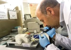 ¿Un nódulo pulmonar es cáncer? Especialista explica el hallazgo en el papa León XIV. Foto: ANDINA/archivo.
