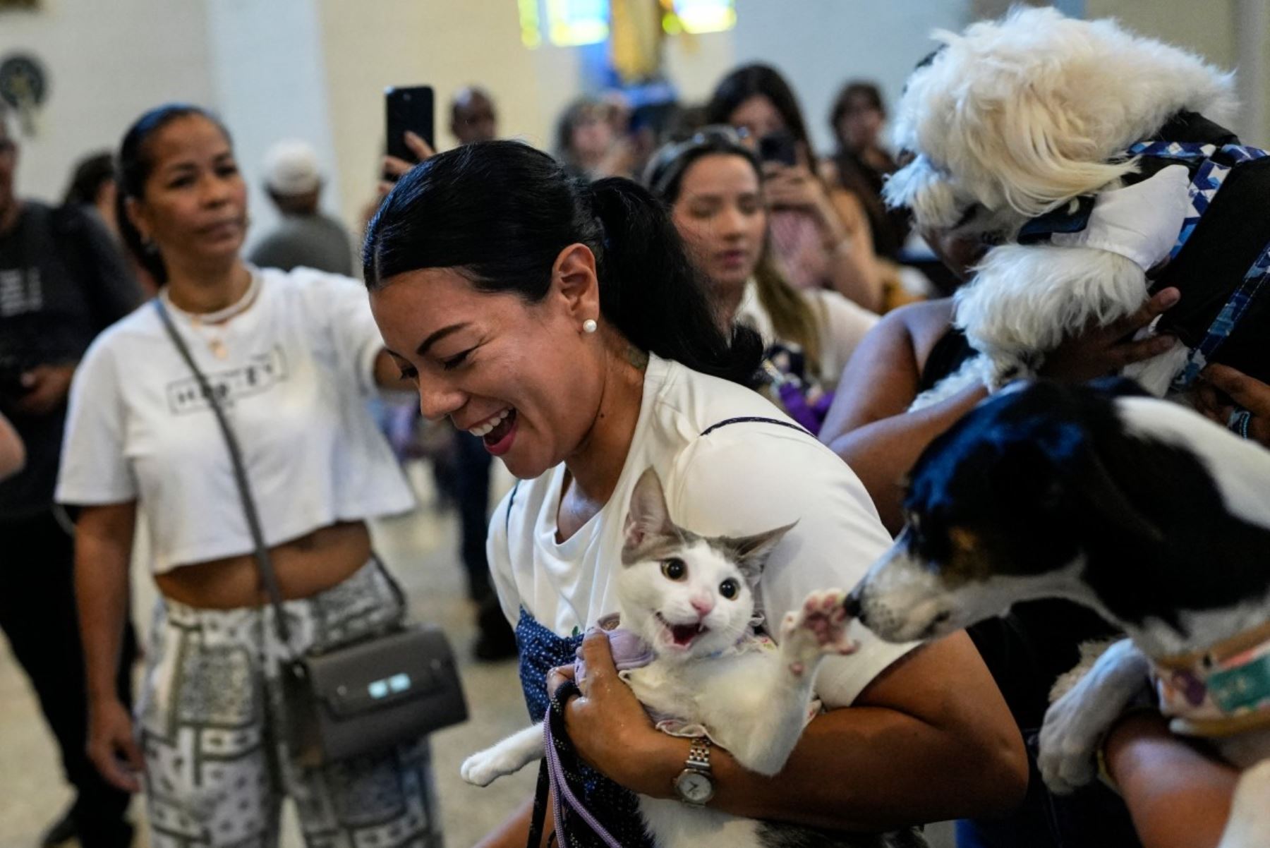 Una mujer sonríe mientras su gato intenta arañar a un perro durante la bendición de las mascotas de los fieles en la ceremonia anual de "Bendición de las Mascotas" —celebrada con motivo de la festividad de San Francisco de Asís, patrón de los animales— en la iglesia de San Francisco de Asís, en Ciudad de Panamá. AFP