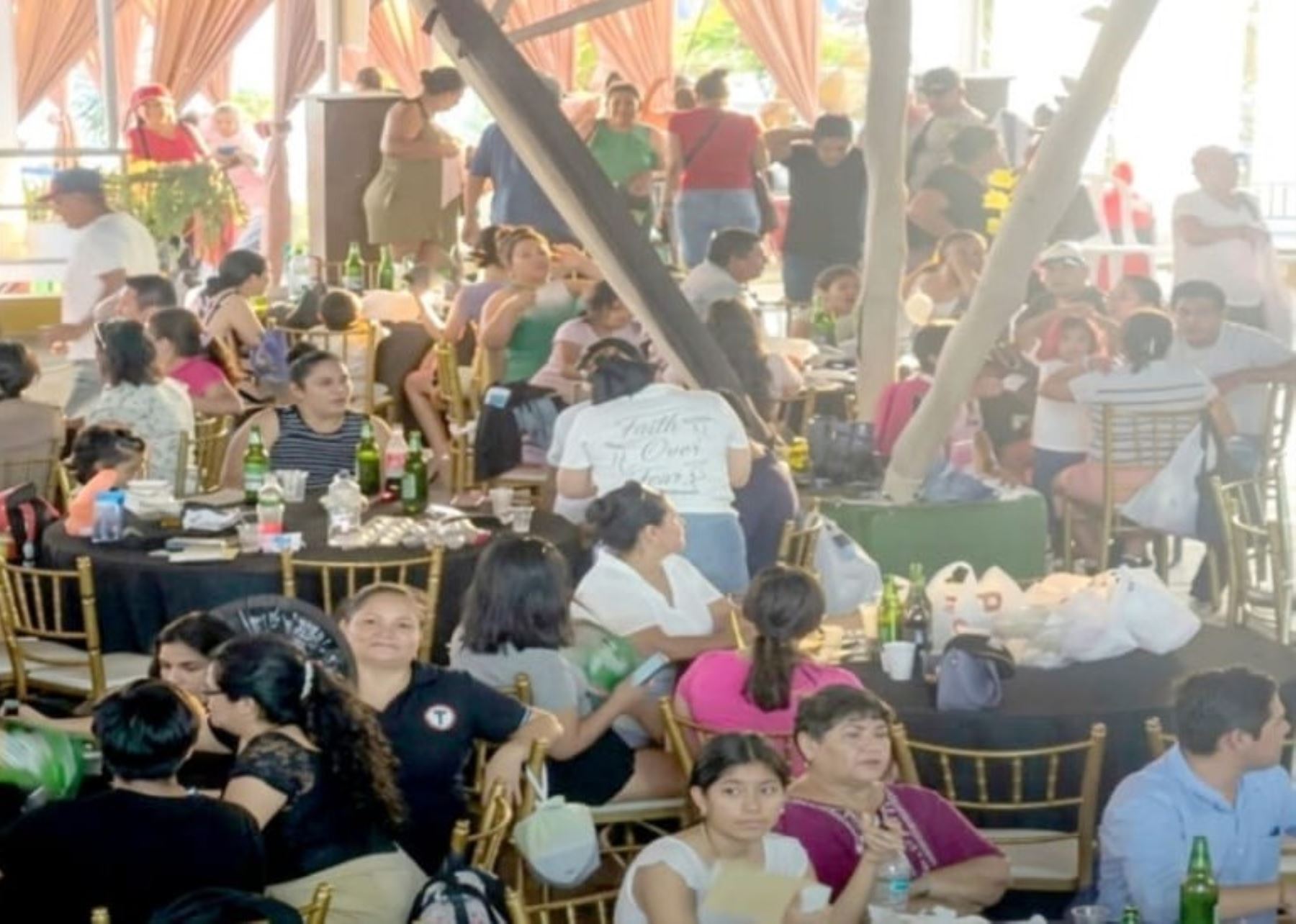 San Martín: abejas atacan a decenas de personas durante un evento musical en Morales