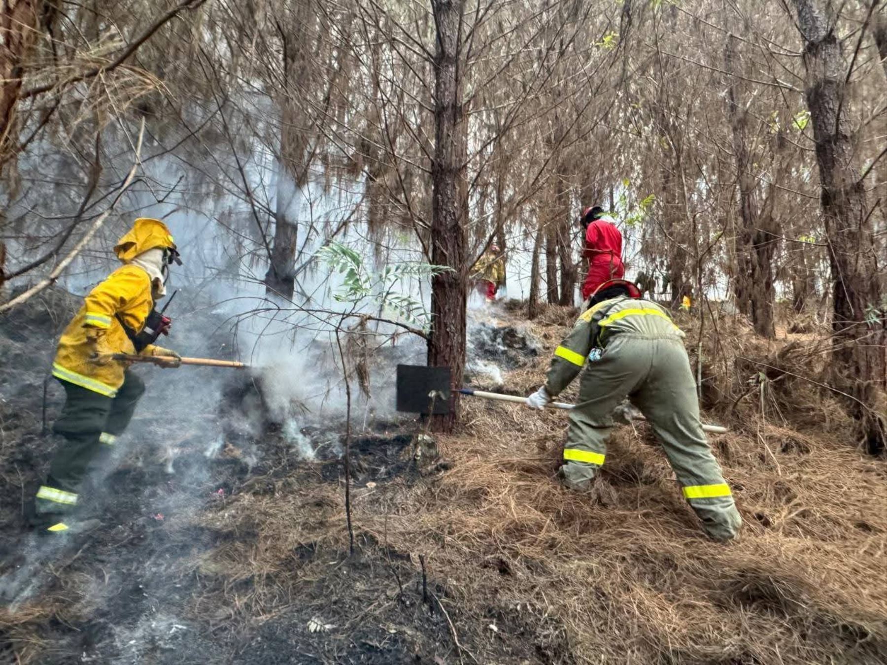 Cusco: tres incendios forestales de magnitud devastan vegetación en Calca y La Convención