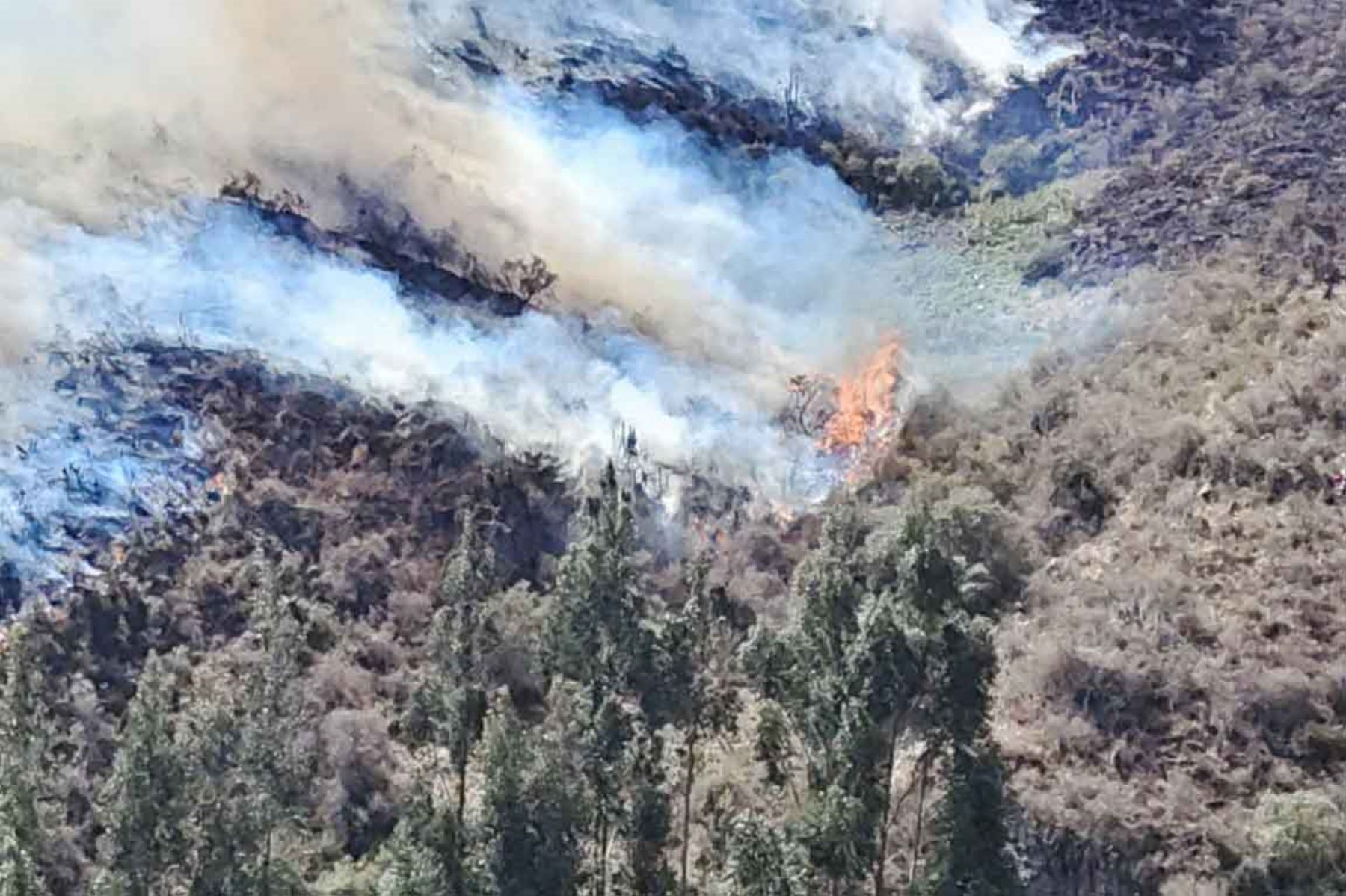 Cusco: Cultura evaluará daños a canal inca afectado por incendio forestal en Rayampata