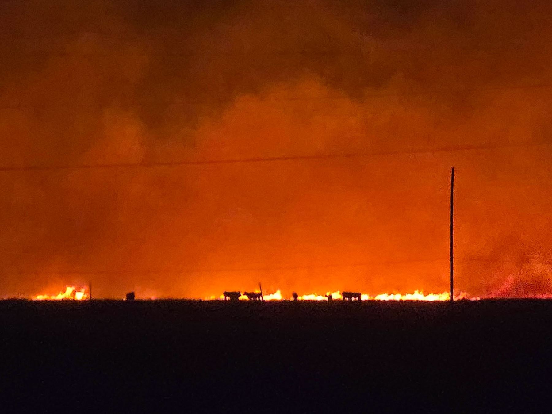 Incendios forestales en Puno: Puno registra dos muertos y más de 250 siniestros este 2026