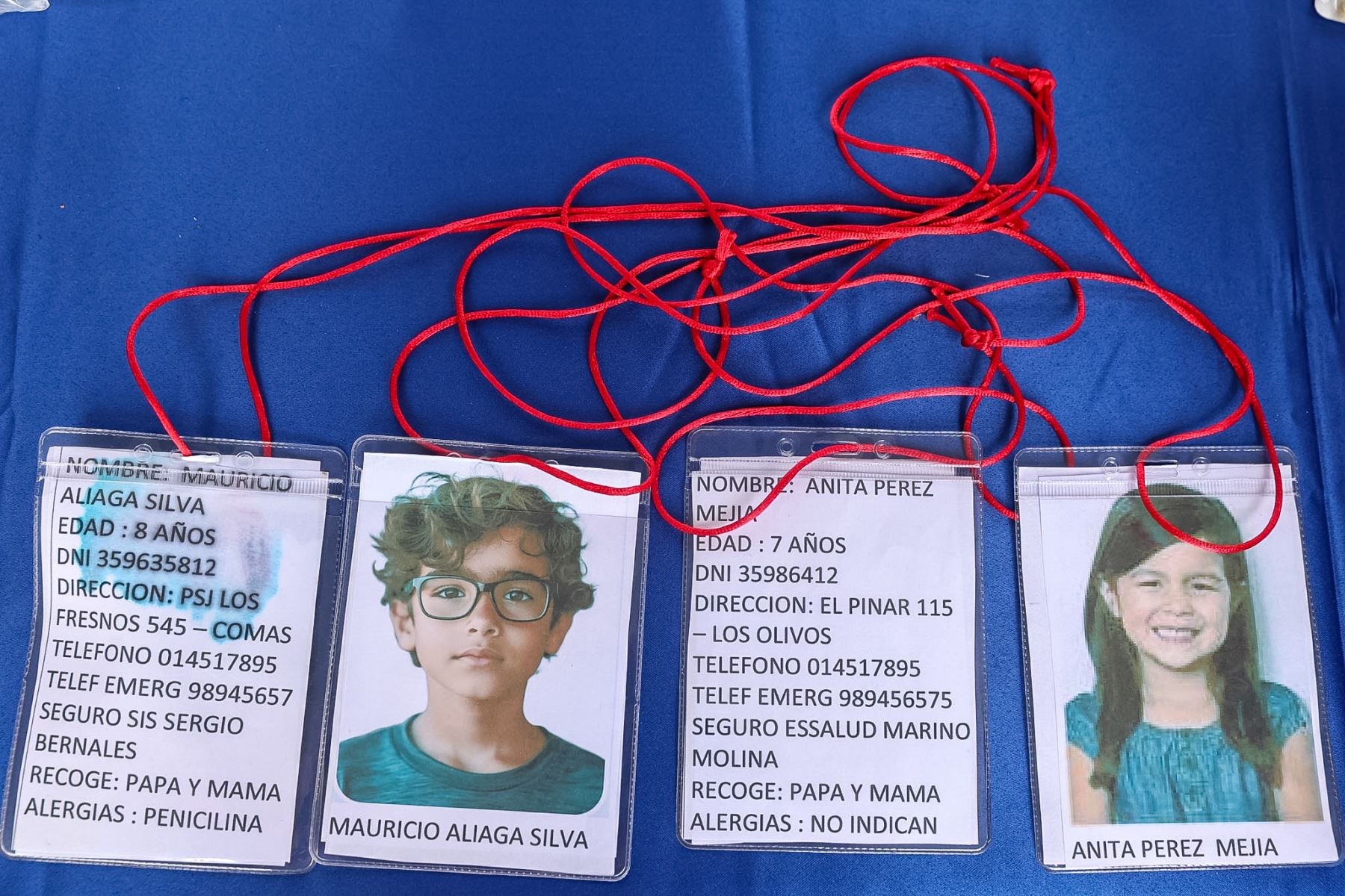 La entidad también aconsejó contar con copias de recetas vigentes y verificar las fechas de vencimiento y condiciones de conservación de los medicamentos incluidos en la mochila. Foto: ANDINA/Luis Iparraguirre.