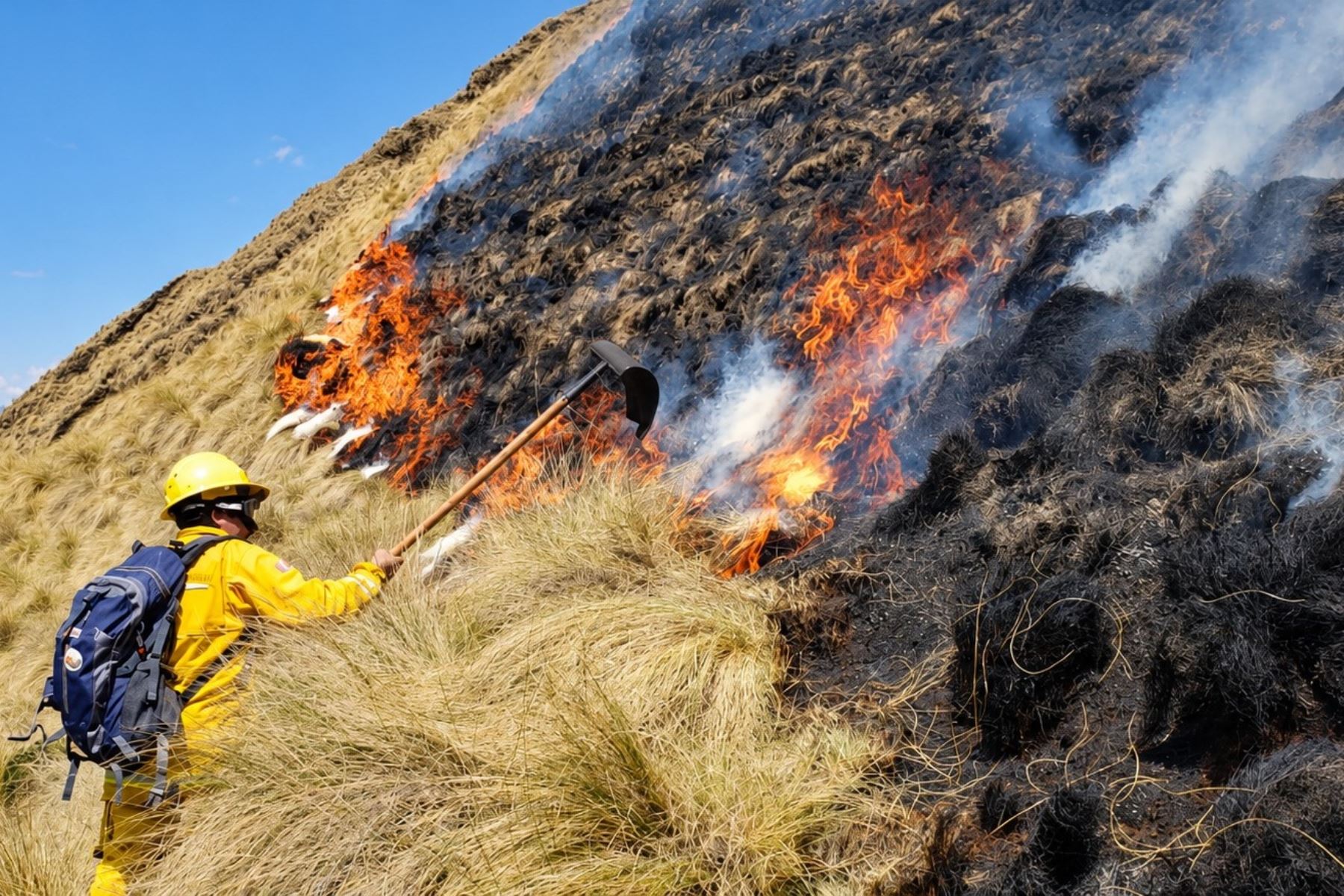 Minam extinguió 56 incendios forestales en áreas naturales protegidas durante 2026