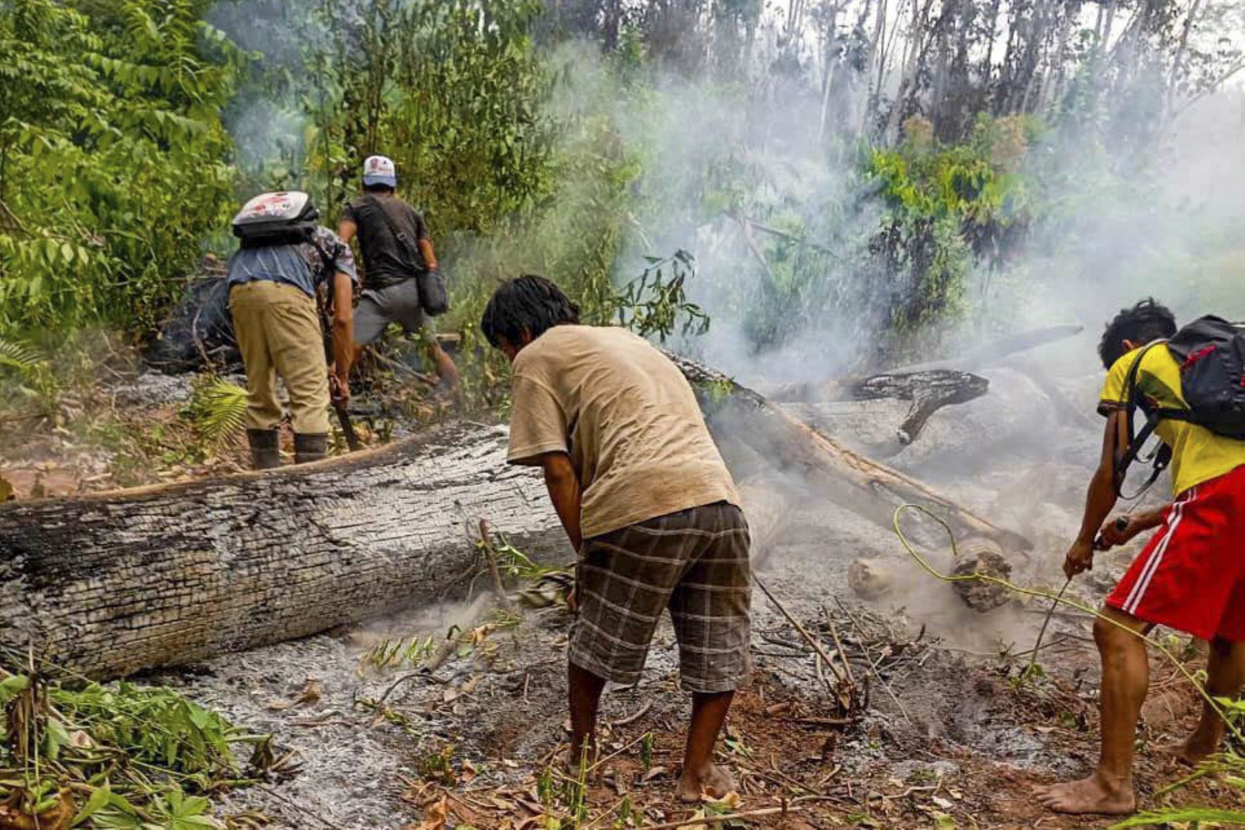 Indeci: siete nuevos incendios forestales se iniciaron en distritos de cinco regiones