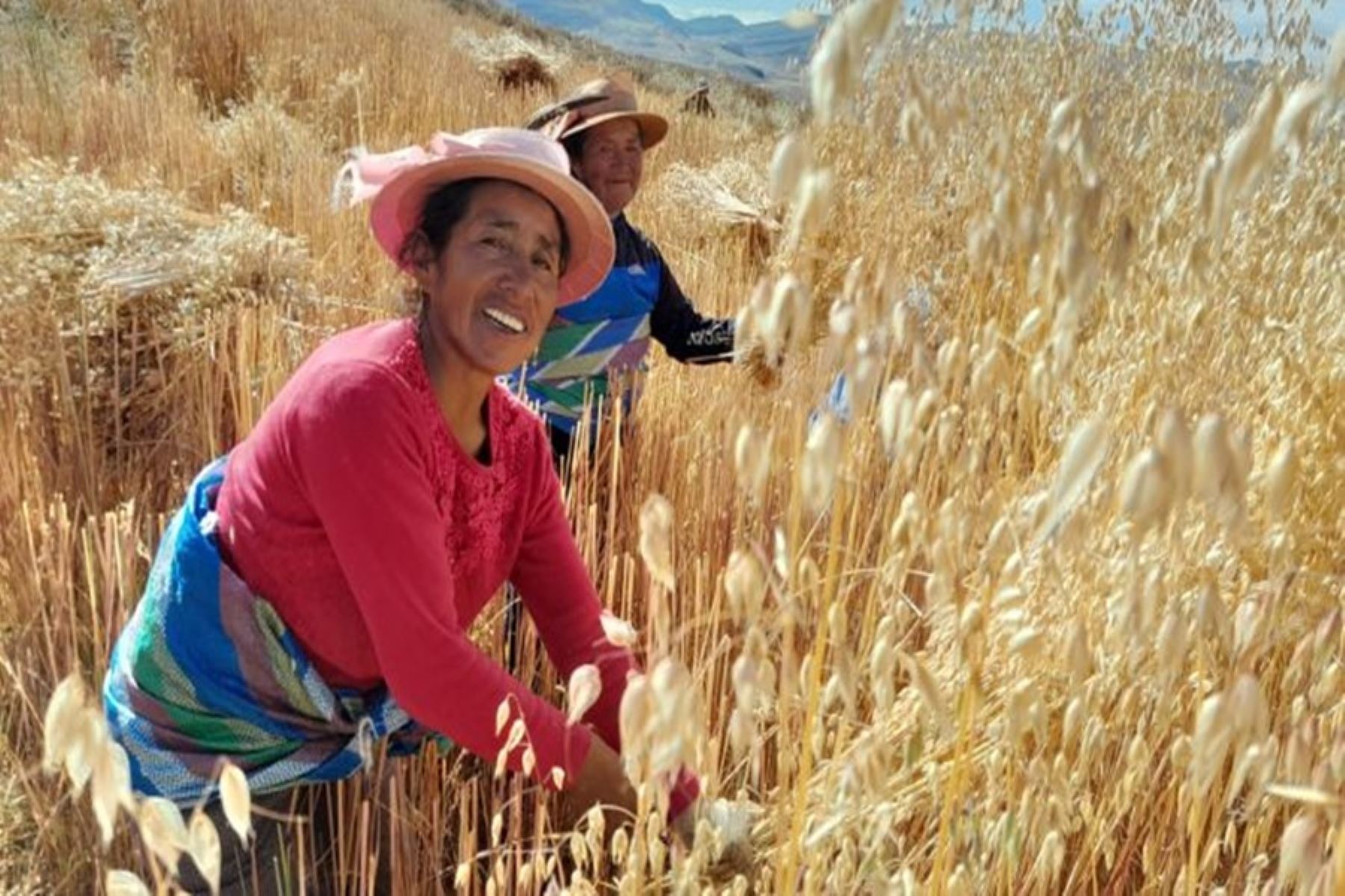 Más de 9,000 mujeres rurales fortalecen sus capacidades productivas