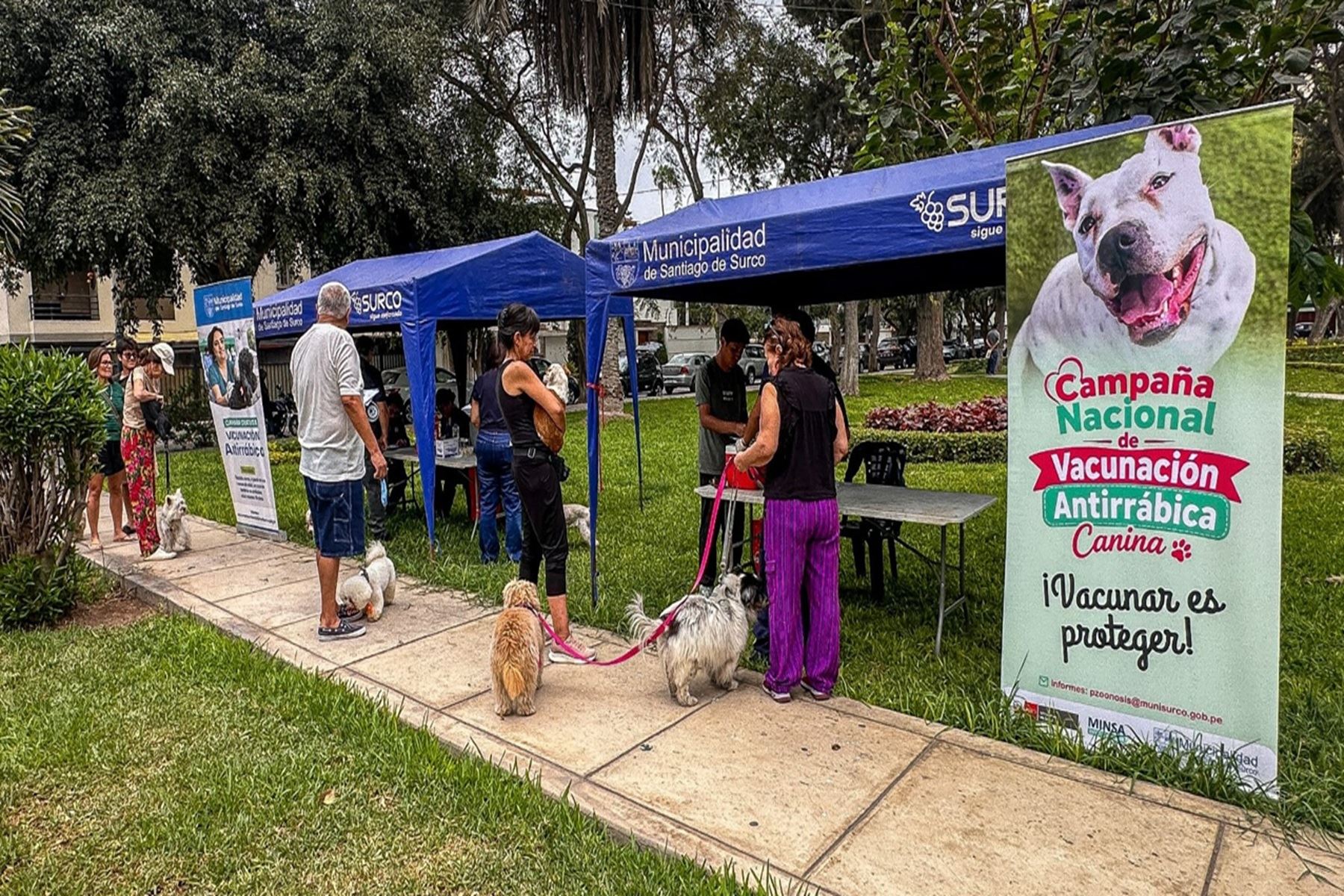 Surco brinda vacunación antirrábica y desparasitación gratuitas para mascotas