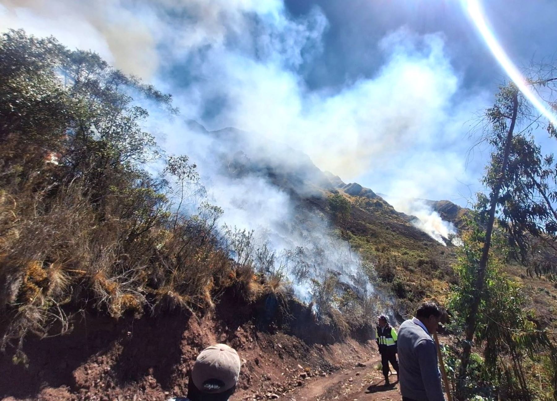 Cusco: condenan a agricultor que provocó incendio forestal que arrasó con pastos y bosques