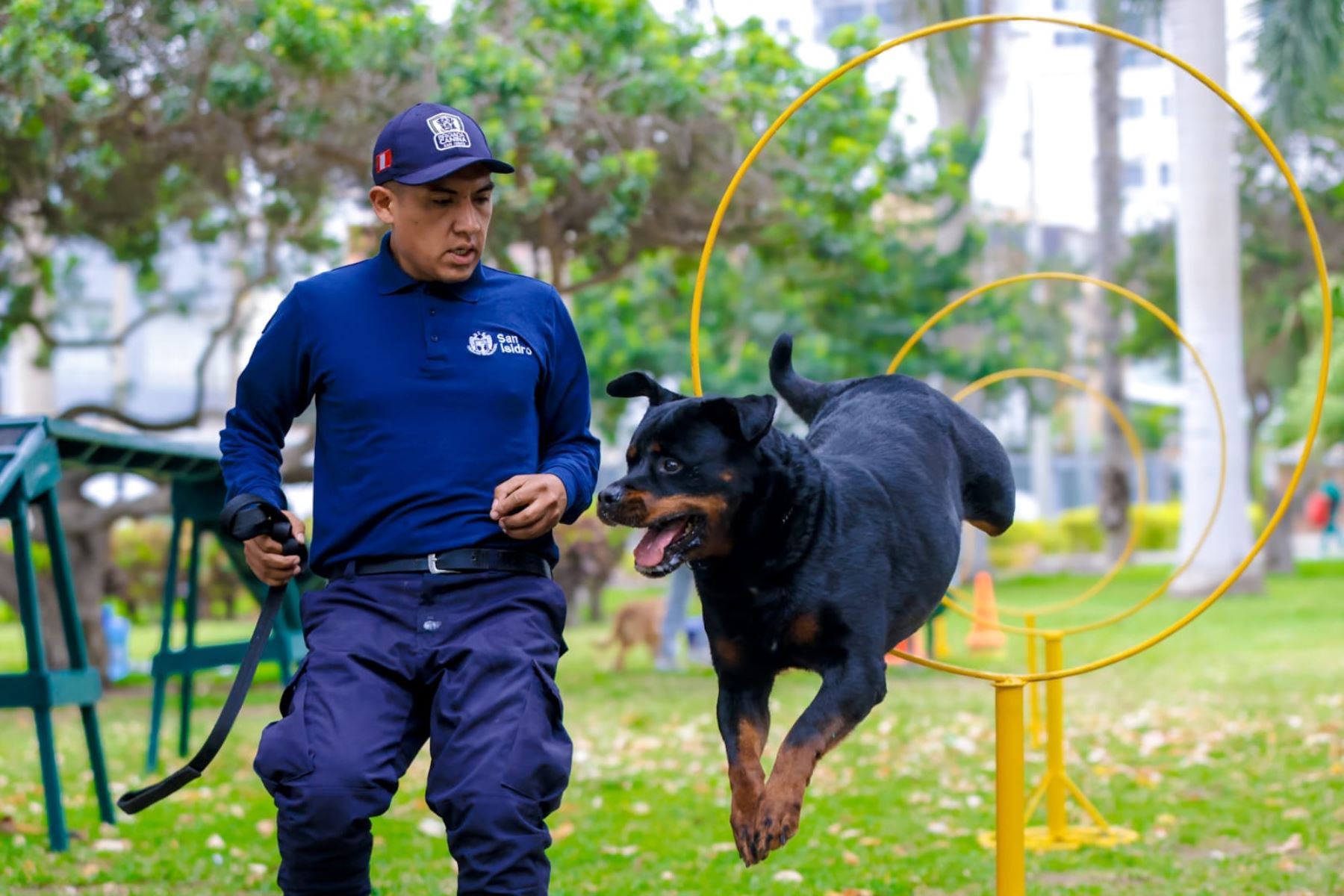 estas actividades buscan promover la tenencia responsable y contribuir a una mejor convivencia entre las mascotas, sus familias y las personas que comparten los espacios públicos. Foto:ANDINA/Municipalidad de San Isidro
