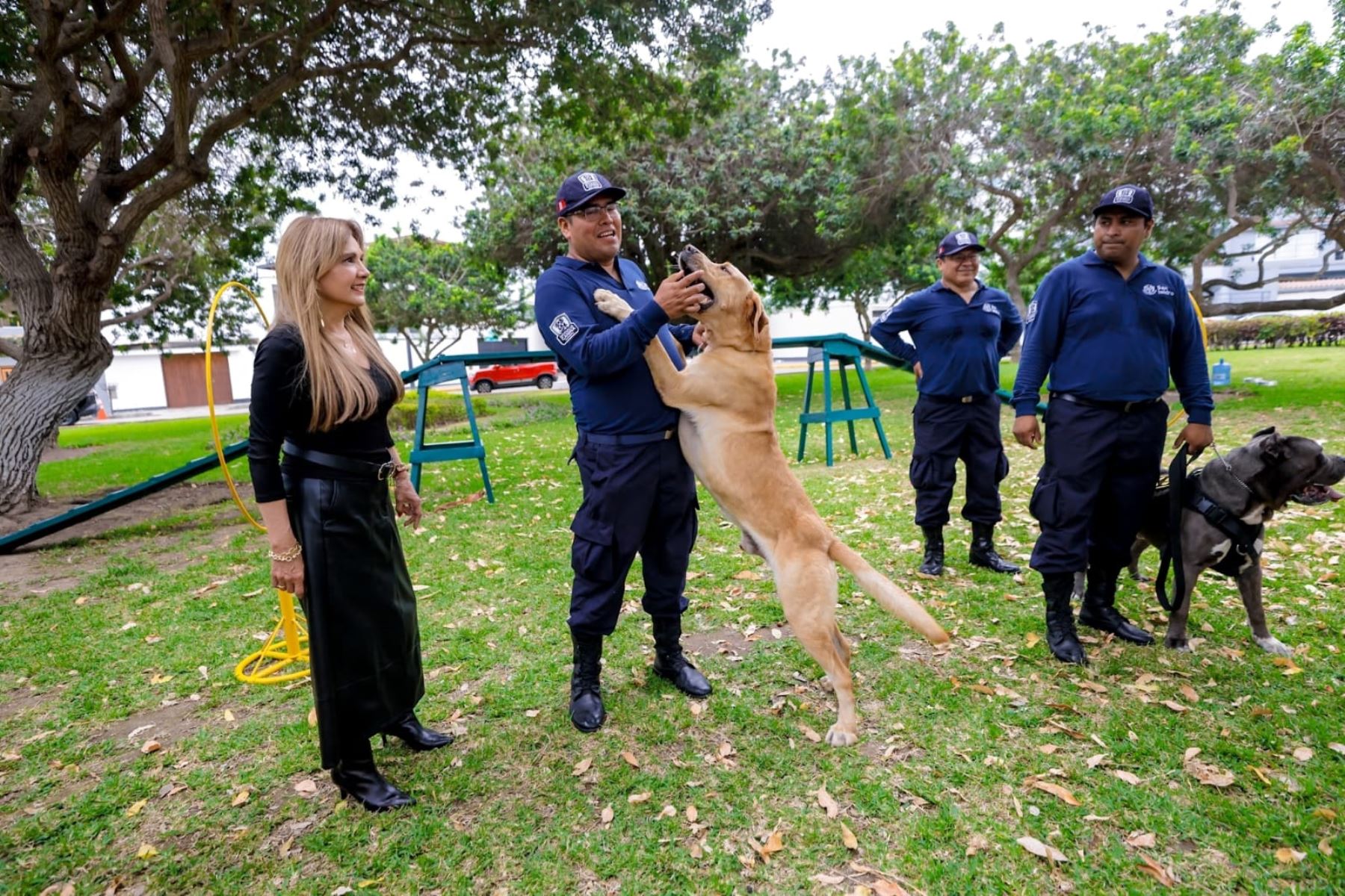 La alcaldesa de San Isidro, Nancy Vizurraga, destacó que estas sesiones están abiertas a mascotas de distintos distritos y permiten a sus dueños aprender ejercicios básicos para mejorar su comportamiento, enseñarles a seguir órdenes y reforzar su obediencia. Foto:ANDINA/Municipalidad de San Isidro