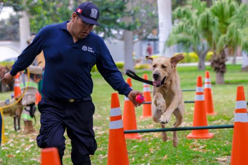 ¡Patitas bien educadas! San Isidro ofrece clases gratuitas de adiestramiento canino