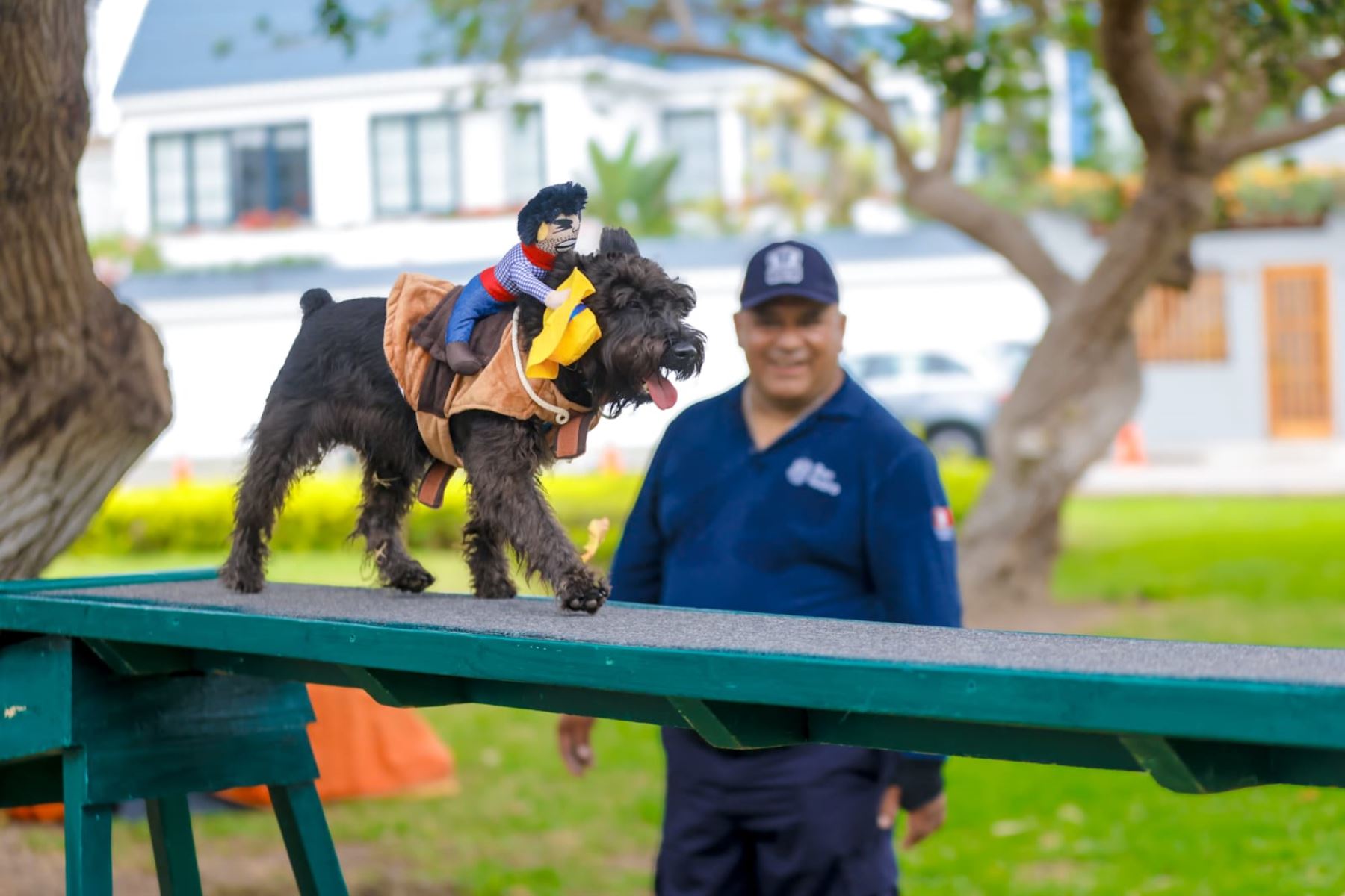 Además, las jornadas incluirán recomendaciones para prevenir el golpe de calor en las mascotas, como mantenerlas hidratadas, ofrecerles espacios con sombra y evitar la actividad física intensa durante las horas de mayor temperatura. Foto:ANDINA/Municipalidad de San Isidro