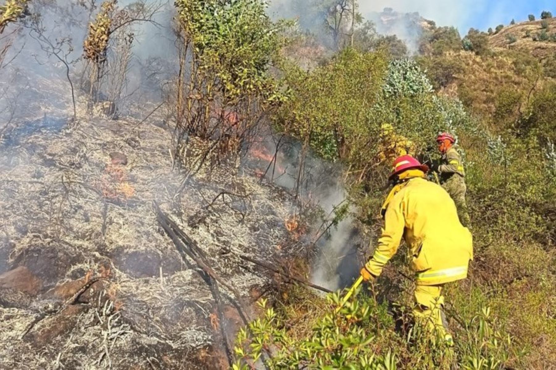 Cusco: bomberos controlan dos incendios forestales en la provincia de Anta
