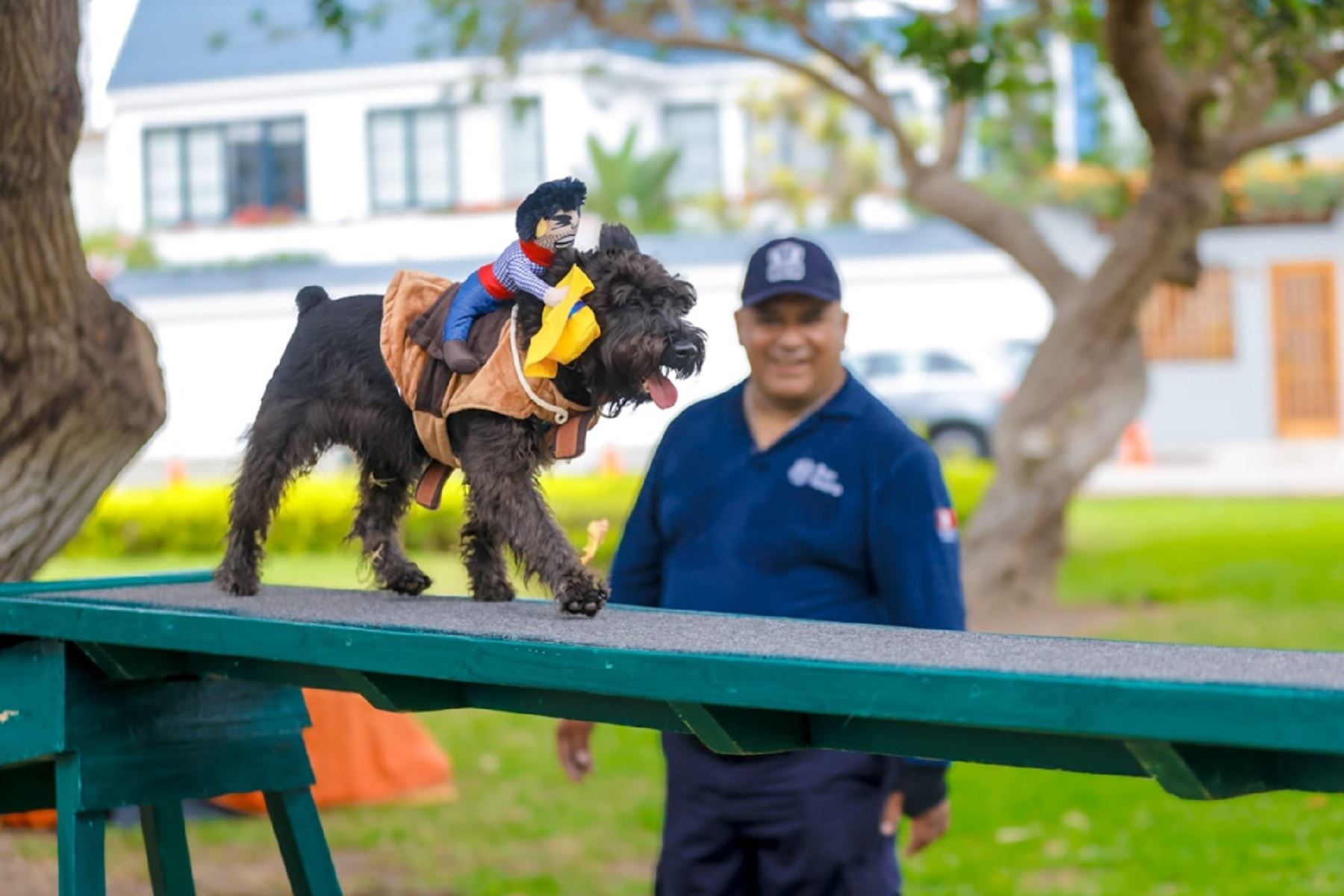 San Isidro realiza clases gratuitas de adiestramiento canino todos los sábados