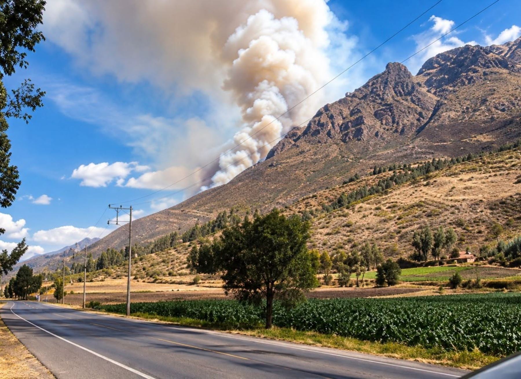 Cusco: combaten incendio forestal cerca del santuario del Señor de Huanca en San Salvador