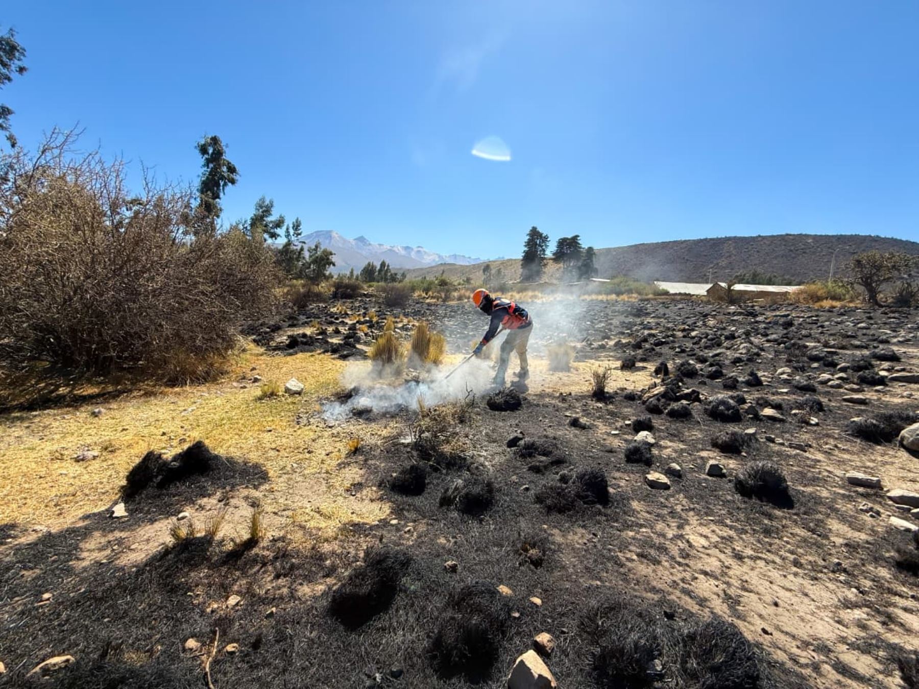 Arequipa: incendio forestal en Mosopuquio afecta unas 400 hectáreas de pastos naturales