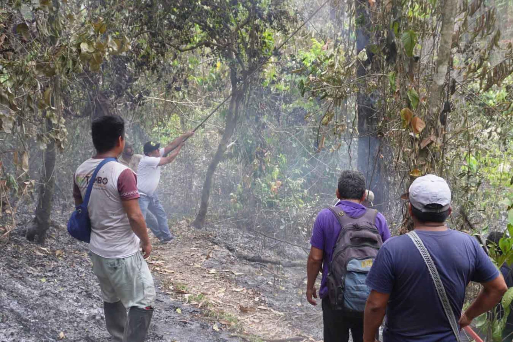 Incendio forestal en Río Tambo: movilizan a 15 bomberos y entregan más ayuda humanitaria
