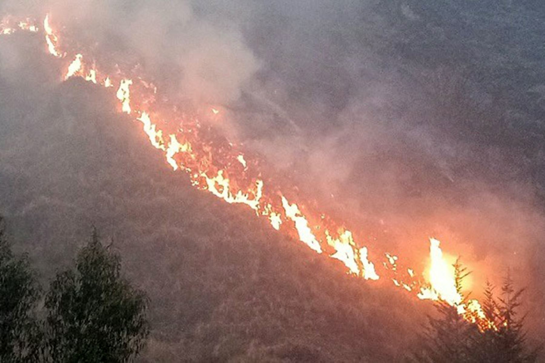 Cusco: sentencian a trabajador de municipio por iniciar incendio forestal en Paruro