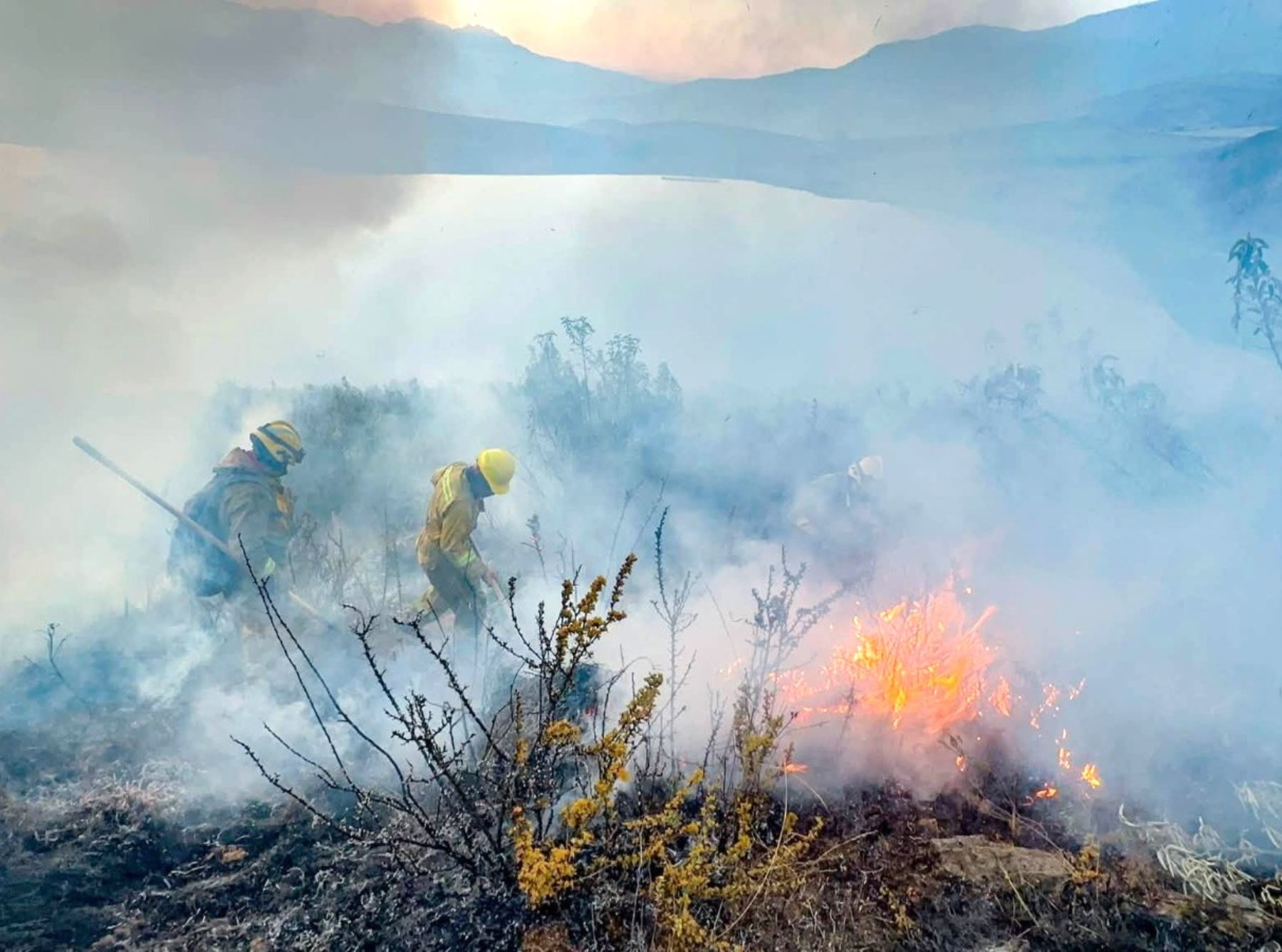 Áncash supera cifra de incendios forestales de 2025 y alcanza los 224 siniestros este año