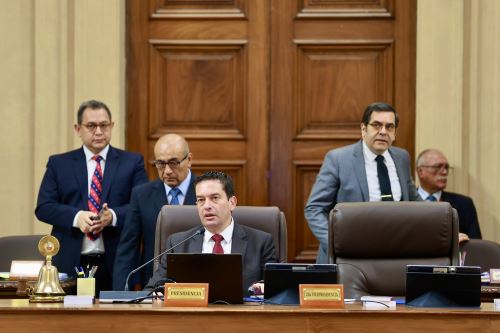 ANDINA/Difusión