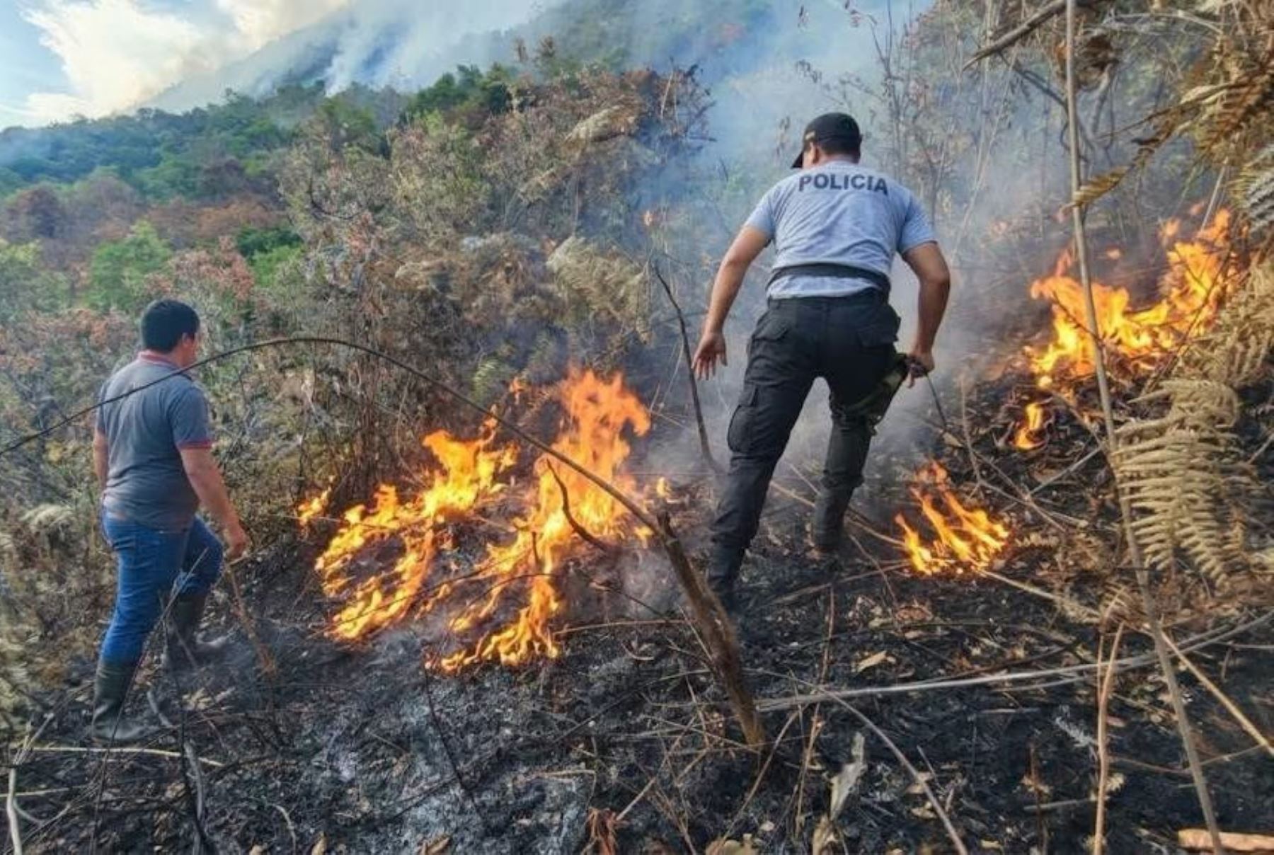 Cusco: suman tres los sujetos sentenciados por provocar incendios forestales en la región