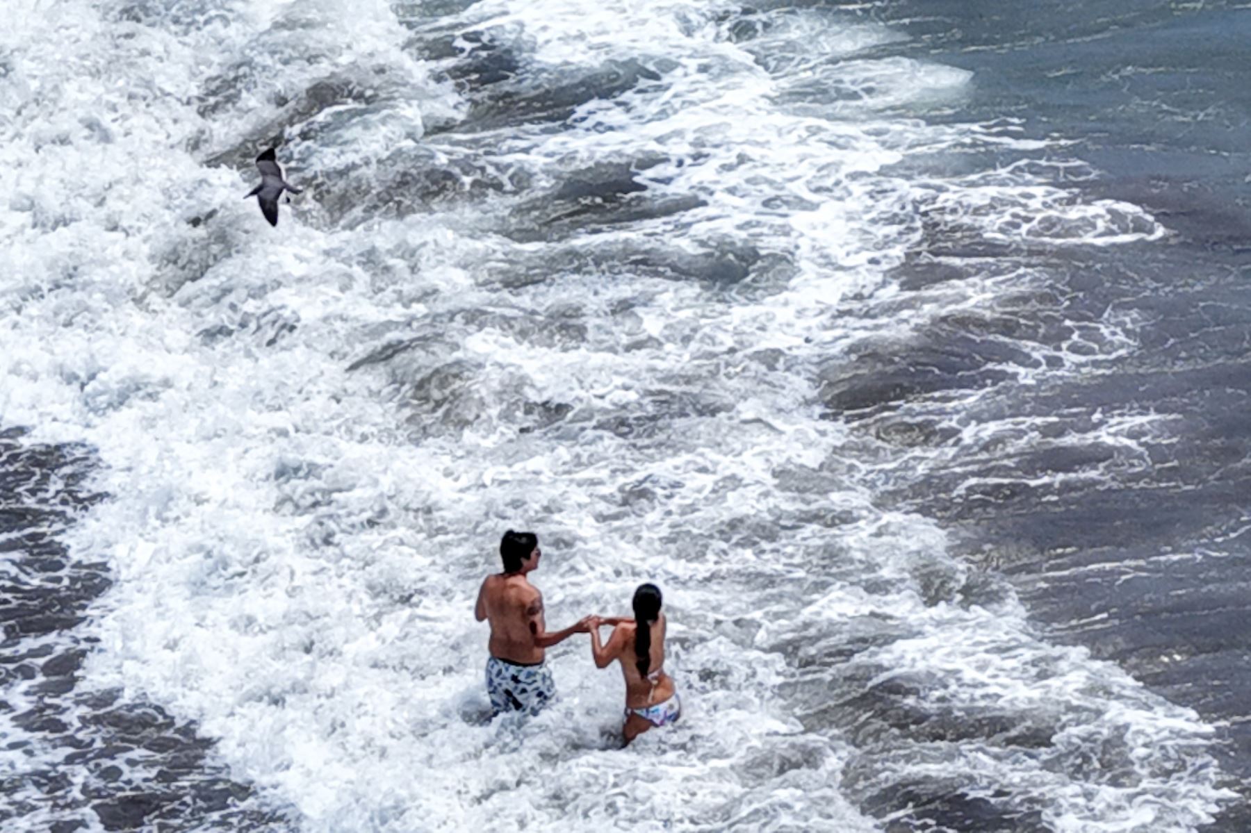 Una pareja se divierte entre el refrescante vaivén de la marea mientras las aves cruzan el cielo costero. Foto: ANDINA/Ricardo Cuba