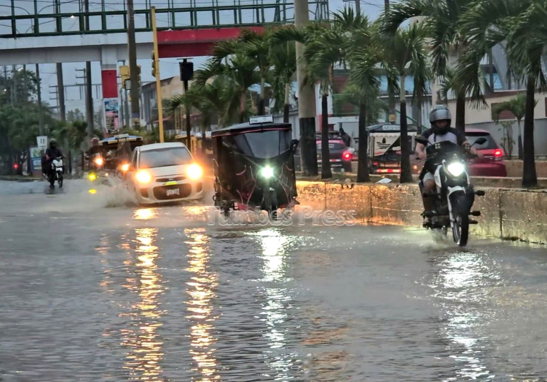Fenómeno El Niño: lluvia de moderada intensidad en Tumbes causa aniegos y activa quebradas