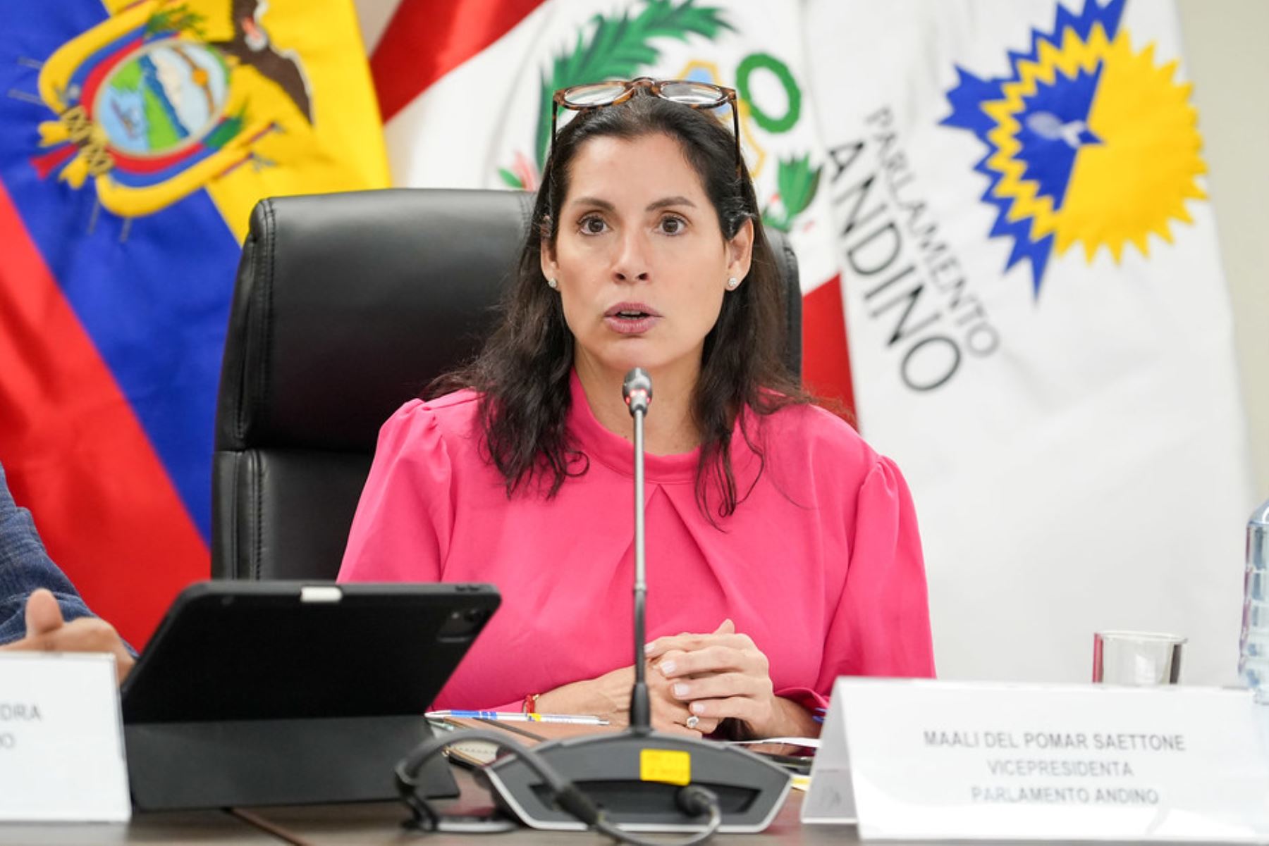 Integración y lucha contra el crimen: los retos del Parlamento Andino en su aniversario 47