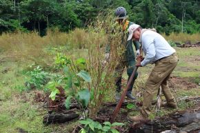 El ministro César Astudillo reafirmó la continuidad de las operaciones de erradicación de cultivos ilegales. Foto: Mininter