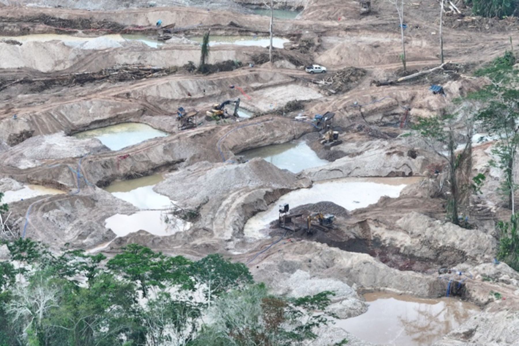 Panguana bajo amenaza: minería ilegal amenaza biodiversidad, conservación e investigación