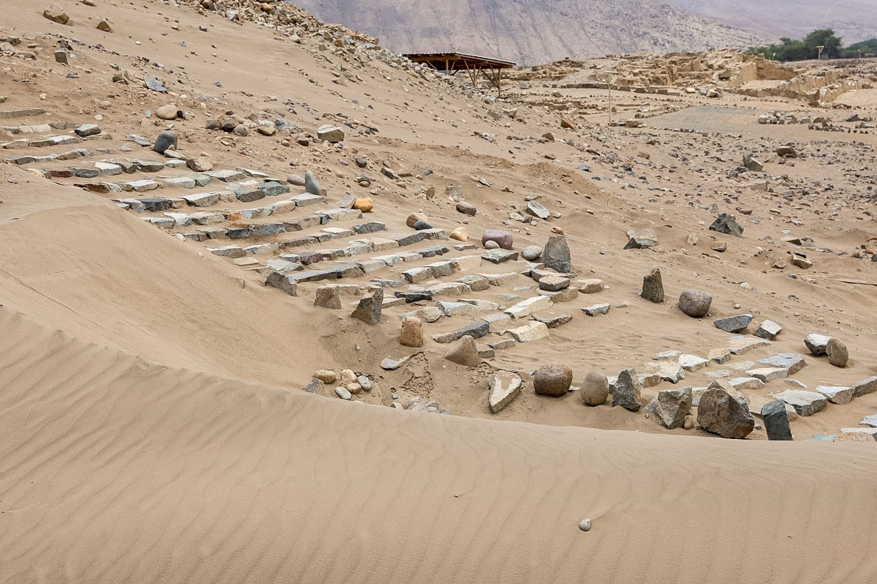 Las investigaciones en Caral han permitido descubrir restos humanos enterrados cerca de los accesos de edificaciones recientemente estudiadas. Estos hallazgos aportan información sobre la ocupación posterior del lugar y su posible utilización como espacio ceremonial o religioso. Foto: ANDINA/Luis Iparraguirre.