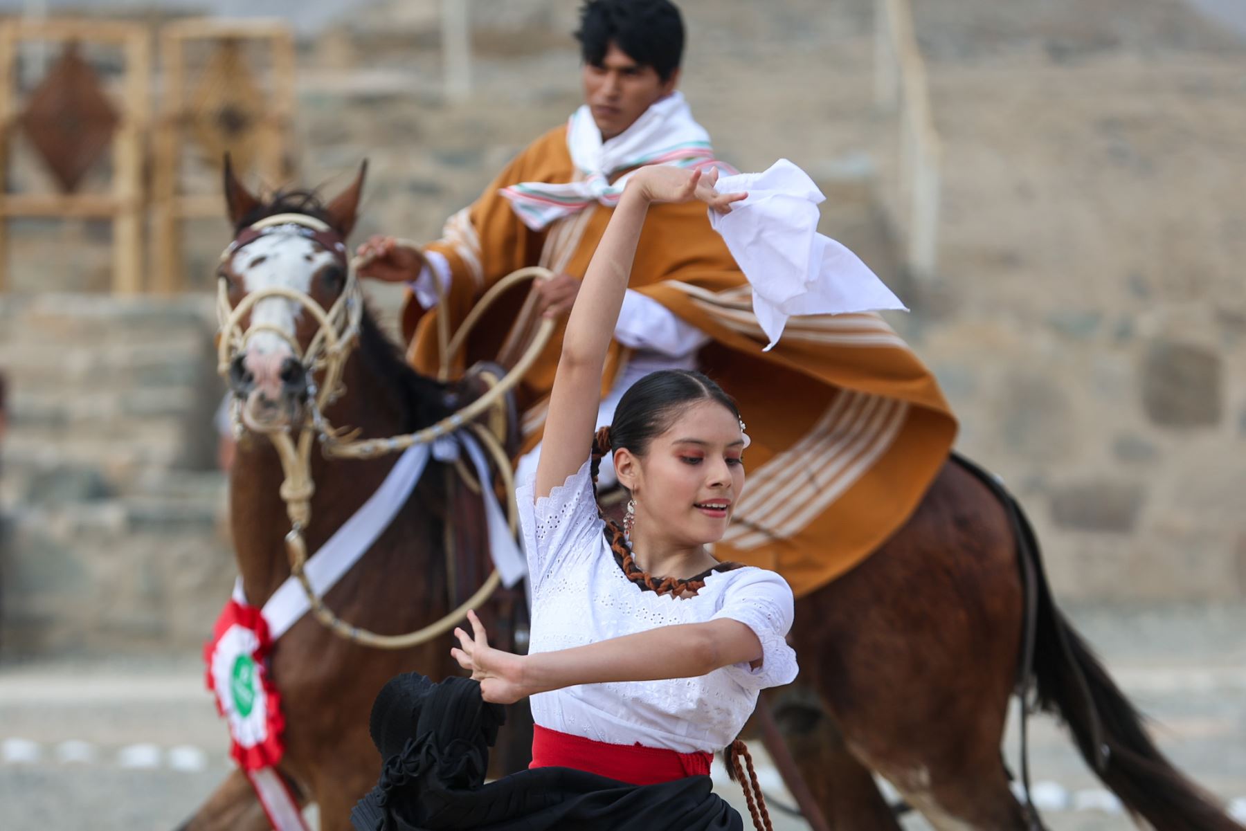 La marinera y los caballos peruanos de paso se presentaron durante la segunda jornada del Caral Raymi 2026. La exhibición ecuestre, a cargo de representantes de Paramonga, formó parte del festival cultural organizado para conmemorar los 32 años de investigaciones y puesta en valor de la Ciudad Sagrada de Caral. Foto: ANDINA/Luis Iparraguirre.