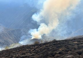 Un incendio forestal de proporciones se registra en el distrito de Curahuasi, provincia de Abancay, región Apurímac y amenaza a diversas comunidades cercanas.