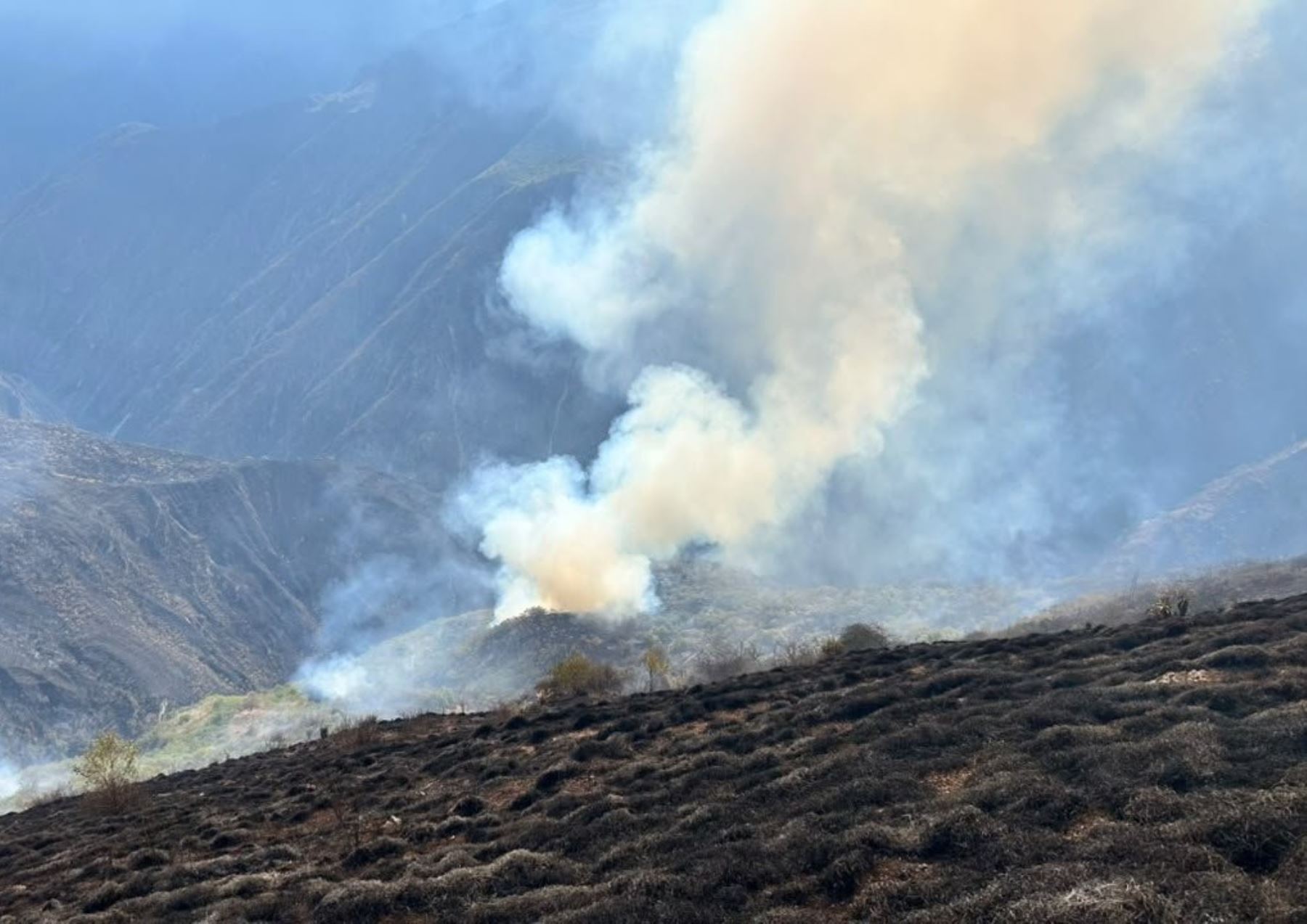 Apurímac: continúa lucha para sofocar incendio forestal en el distrito de Curahuasi