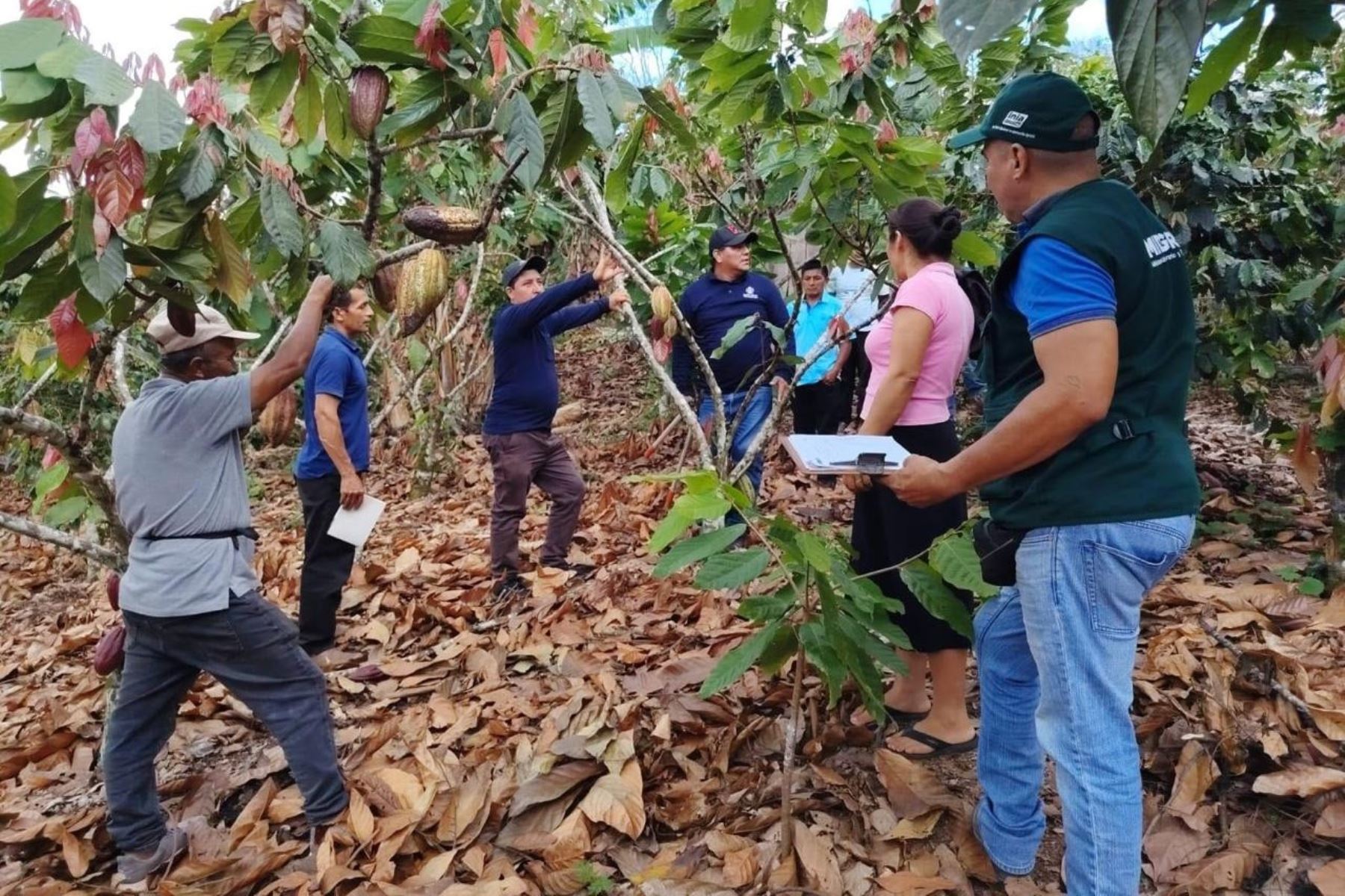 Becas INIA: conozca a los ganadores de becas para servicios de extensión agropecuaria