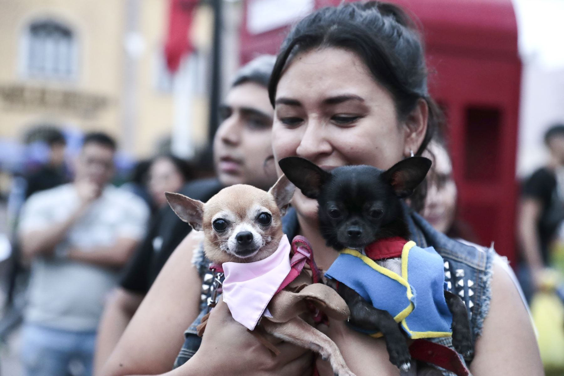 Desde la plaza de Armas de Surco, el viernes 30 de octubre de 2026 se realizó una ceremonia de homenaje póstumo a mascotas fallecidas en el distrito, en el marco de celebrarse el Día de las Mascotas Fallecidas. Vecinos acudieron a la pérgola de la plaza con fotos de sus mascotas, ramos de flores y velas. Foto: ANDINA/Daniel Bracamonte
