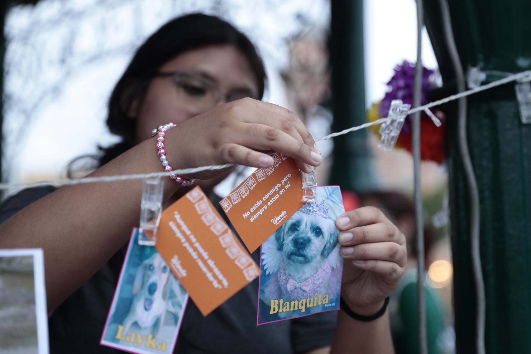 Desde la plaza de Armas de Surco, el viernes 30 de octubre de 2026 se realizó una ceremonia de homenaje póstumo a mascotas fallecidas en el distrito, en el marco de celebrarse el Día de las Mascotas Fallecidas. Vecinos acudieron a la pérgola de la plaza con fotos de sus mascotas, ramos de flores y velas. Foto: ANDINA/Daniel Bracamonte