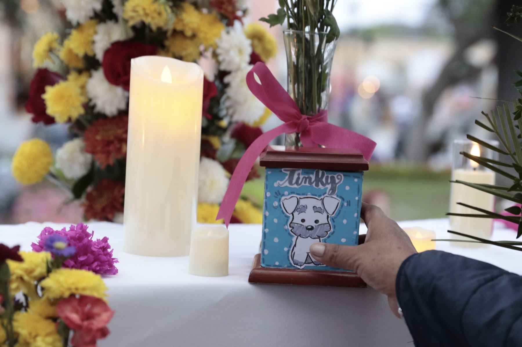 Desde la plaza de Armas de Surco, el viernes 30 de octubre de 2026 se realizó una ceremonia de homenaje póstumo a mascotas fallecidas en el distrito, en el marco de celebrarse el Día de las Mascotas Fallecidas. Vecinos acudieron a la pérgola de la plaza con fotos de sus mascotas, ramos de flores y velas. Foto: ANDINA/Daniel Bracamonte
