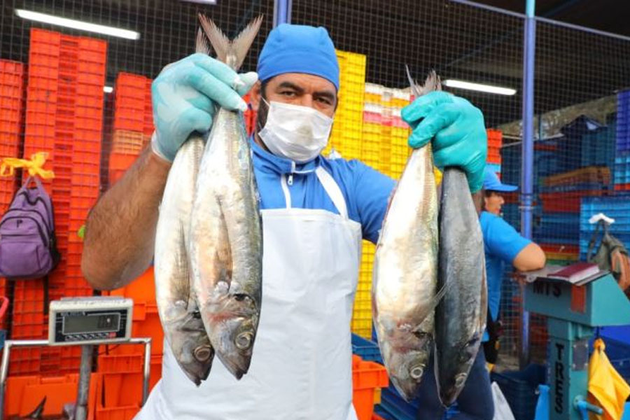 Gobierno impulsa formalización y consumo de pescado a nivel nacional