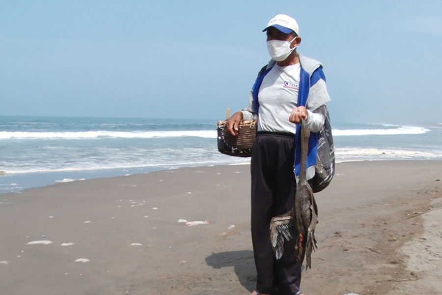 Derrame de petróleo: pescadores de Chancay sufren por la contaminación
