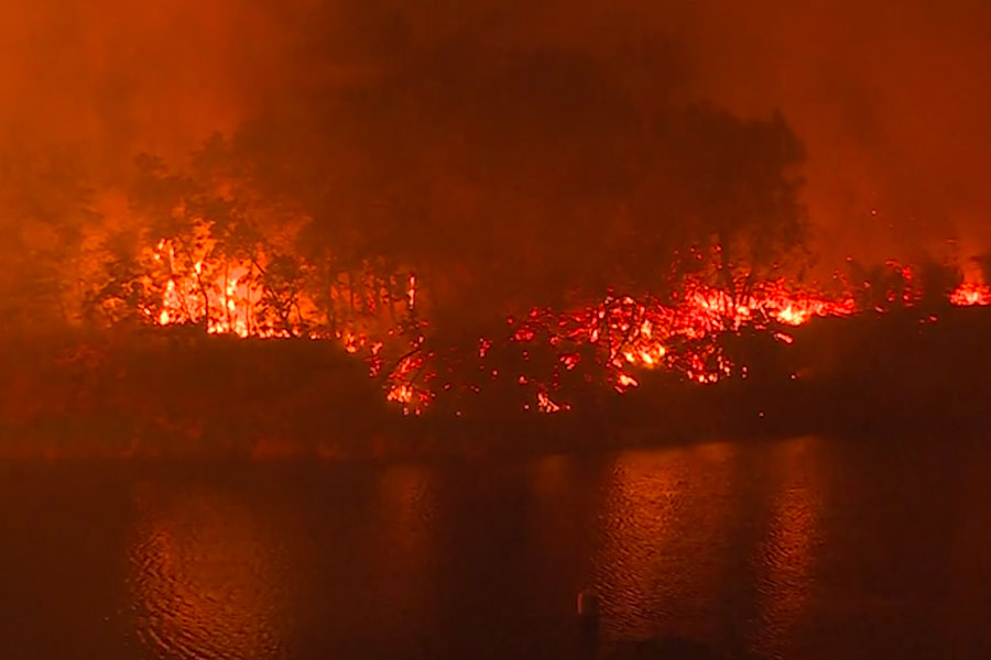 Portugal: más de 1,200 bomberos luchan contra incendio en parque natural