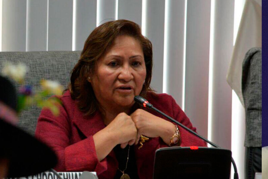 OEA en Perú: Pymes invocan a Consejo Nacional de Trabajo abordar mejoras en tema laboral