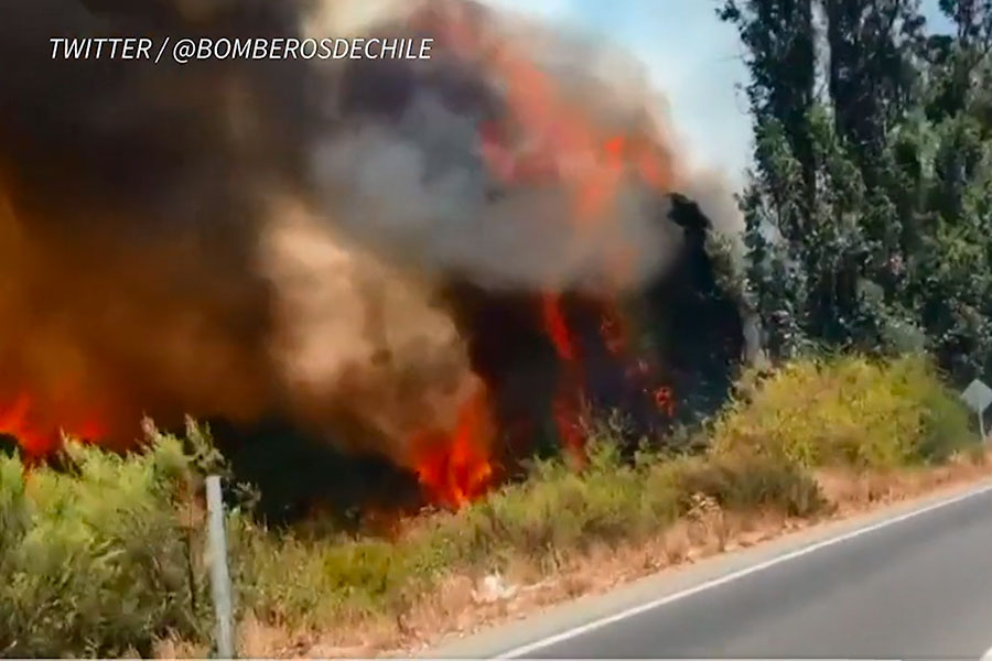 Chile: emergencia por más de 200 incendios en la zona centro sur